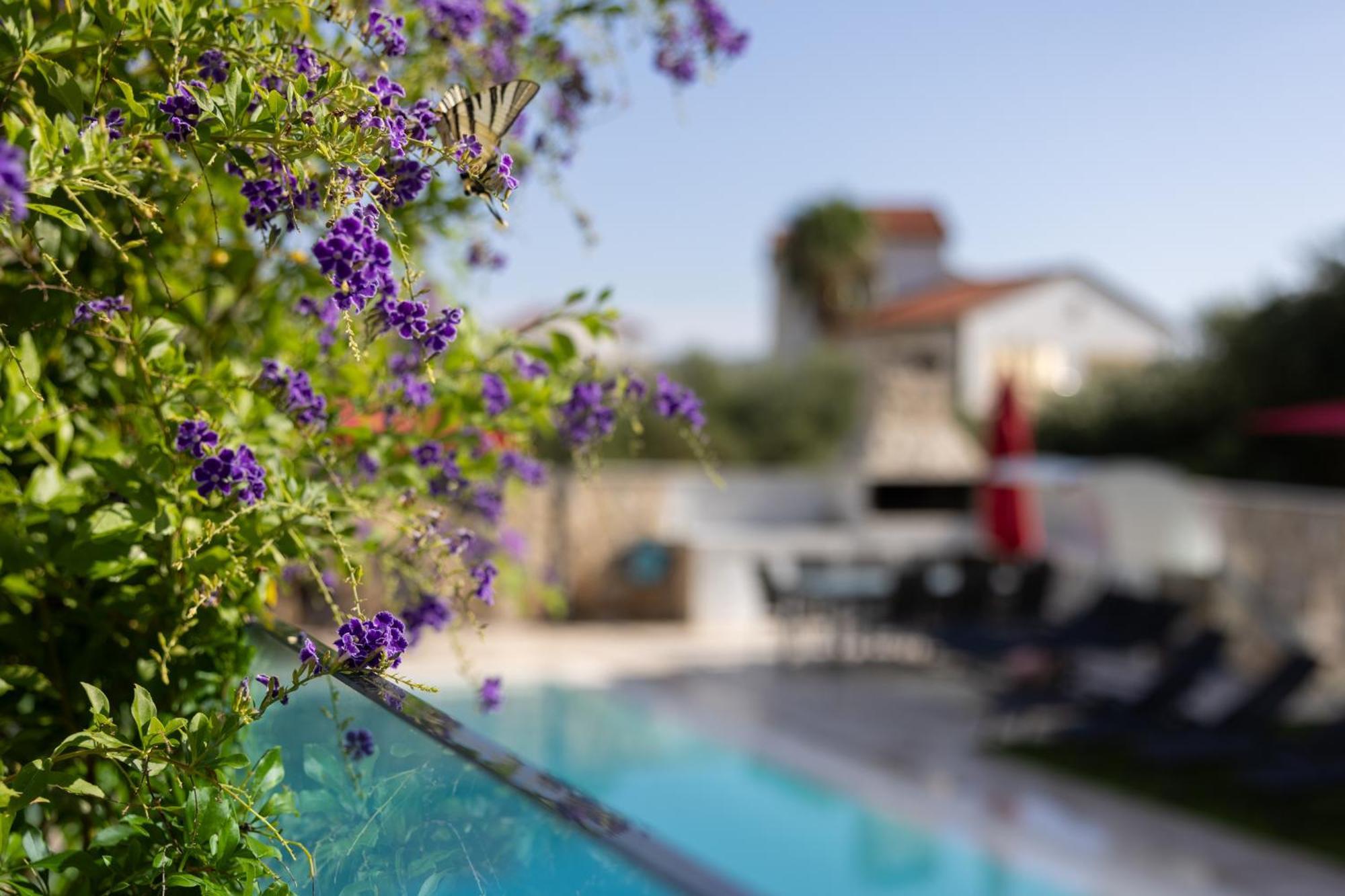 Villa Aqua Zaboric Ngoại thất bức ảnh
